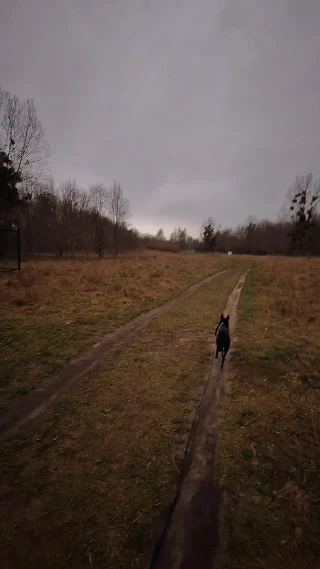 Zanim rozpocznie się sezon wakacyjny, czas na małe podsumowanie tego półrocza 🌞

Działo się i dużo i mało: nie wydałam nowego własnego produktu, sporo chorowałam, nie podróżowałam. Ale prężnie działam z kursantami w Wyprawie na C1, pojawiła się 3. część 333 Triosów, aktualizacja Słówko do słówka, krótki wyjazd z insta-teacherkami, duuuużo quality time z rodziną. Spokój, którego w moim życiu coraz więcej.

Dzisiejszy newsletter jest ostatnim w czerwcu i jest bardziej osobisty. Jeśli chcesz przeczytać co dokładnie wydarzyło się od początku 2025 i jak możemy wspólnie uczyć się angielskiego w przyszłości - zostaw komentarz 🌿ŻYCIE🌿 a ja wyślę Ci link do zapisu na mój newsletter Magia Angielskiego 🔮

#angielski #naukaangielskiego #językangielski
